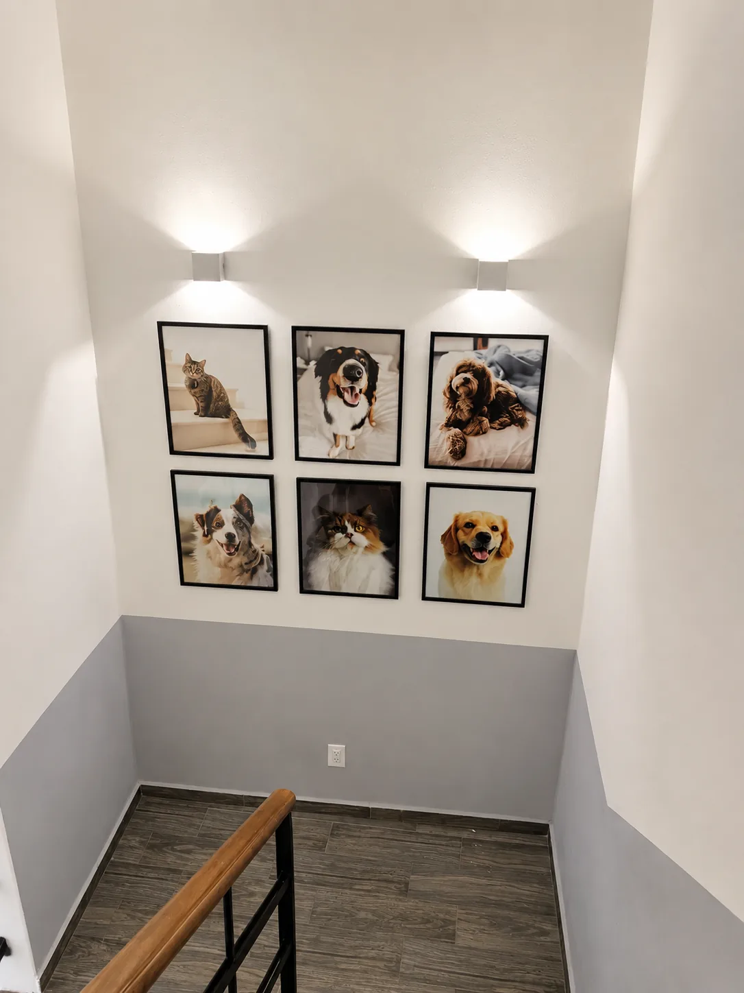 Galería de pacientes VCC