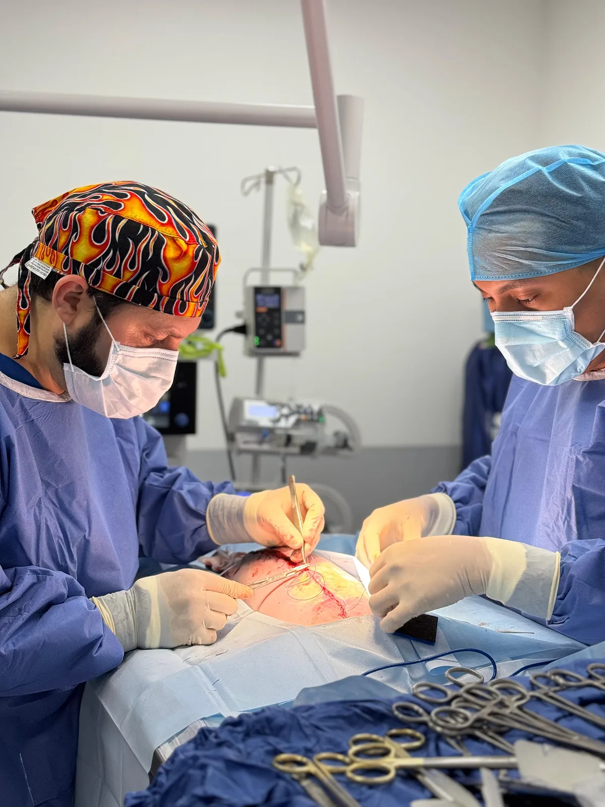 Cirugía oncológica veterinaria